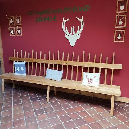 Entspannung Pur Mit Daheimgefuehl Apartment Baiersbronn